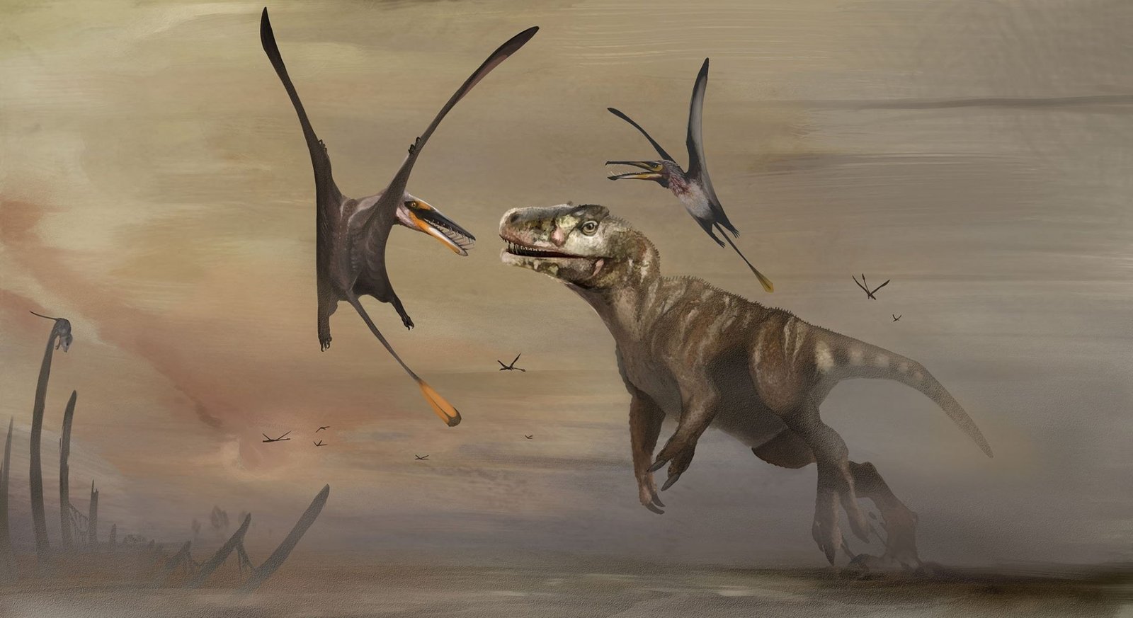 Flying reptile discovered in Scotland