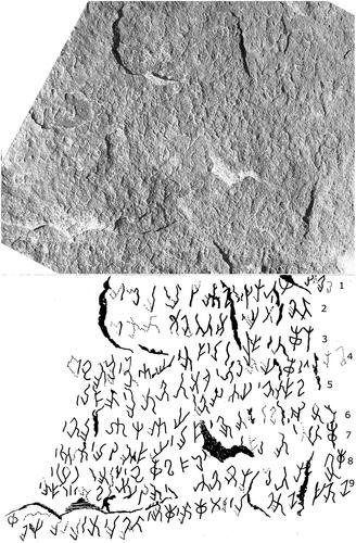 Kushani Scripts 